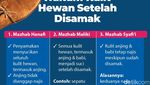 Hukum Menggunakan Sepatu Kulit Babi, Haram atau Tidak?