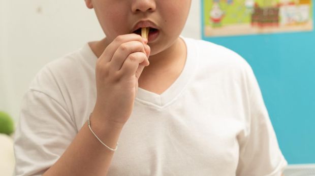 ilustrasi obesitas anak ilustrasi obesitas anak