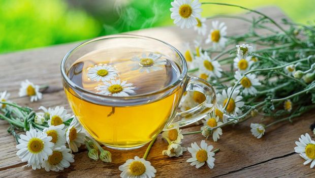 Ilustrasi teh chamomile