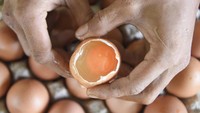 Pekerja menunjukkan telur omega. Peternakan ayam petelur dengan pakan mandiri ini mampu memberi pendapatan kotor Rp15–19 juta per pekan bagi BUMDes di Kutai Kartanegara. Foto: ANTARA FOTO/M Risyal Hidayat