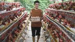 Wow, Peternakan Ini Hasilkan Ratusan Telur Omega Setiap Hari