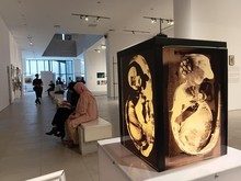 Menikmati 300 Jepretan Karya Fotografer Indonesia-Mancanegara di JIPFest 2025