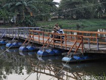 Jembatan Apung Ini Jadi Penyelamat Akses Antar Desa