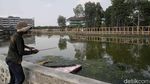 Jembatan Jogging Track Dibangun di Marunda, Jadi Ikon Baru Pesisir Jakut