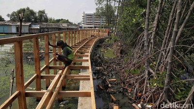 Jembatan Jogging Track Dibangun di Marunda, Jadi Ikon Baru Pesisir Jakut