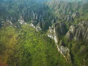 Gunung Kulat di Kaltim Diusulkan Jadi Bagian Geopark Sangkulirang-Mangkalihat