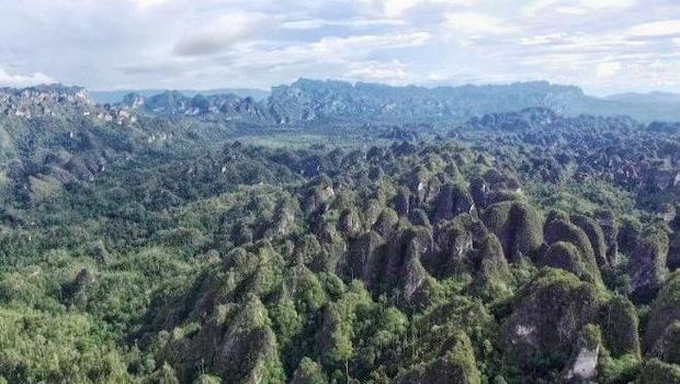Karst Sangkulirang-Mangkalihat dan goa tersembunyinya. Foto: laman resmi Pemerintah Kalimantan Timur dan Kutai Timur