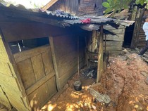 Pemprov Bengkulu Bakal Bedah Rumah Tak Layak Huni Bocah Cacingan di Seluma