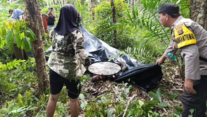 Polisi dan Babinsa mengevakuasi mayat Tapriadi yang ditemukan tewas membusuk di kebun karet