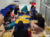 Olahan Nanas Purbalingga Raup Pasar Global, Libatkan 900 Petani Lokal