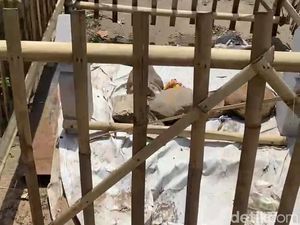 Batu Nisan Sindir Jalan Rusak di Jembatan Geneng Jepara Dibongkar Pemdes