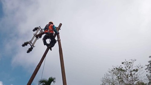 Petugas PLN memperbaiki jaringan listrik yang rusak akibat banjir bandang dan longsor di Nagekeo, NTT. (Dok. PLN)