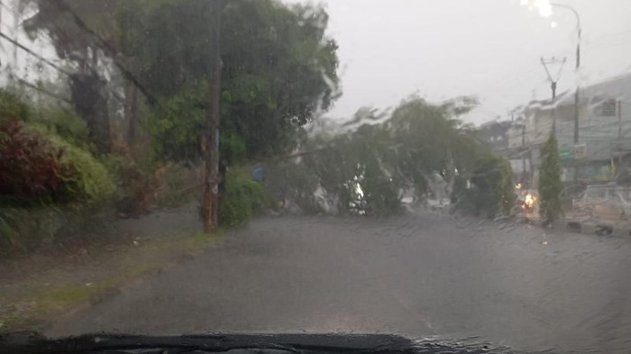 Pohon tumbang di Jalan Jenderal Sudirman, Kota Serang