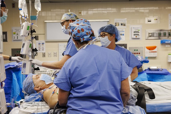 Pria di AS berhasil menjalani prosedur transplantasi ginjal babi. Sekarang, pasien gagal ginjal ini tidak menjalani perlu cuci darah lagi.