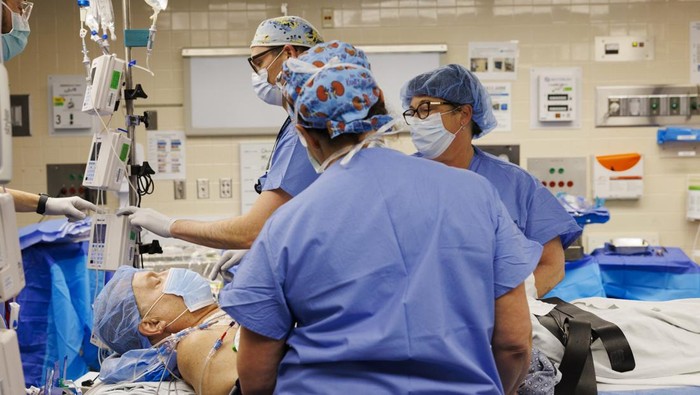 Kisah Andrew, Pria yang Terima Donor Ginjal Babi Berhasil Hidup hingga 6 Bulan