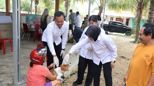 Ratusan anjing dan kucing di Kabupaten Pelalawan disuntik vaksien untuk mencegah penularan rabies, Senin (15/9/2025).