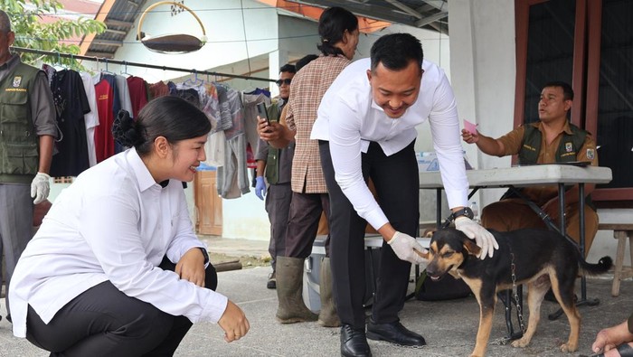 Ratusan anjing dan kucing di Kabupaten Pelalawan disuntik vaksien untuk mencegah penularan rabies, Senin (15/9/2025).