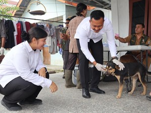 Cegah Rabies, Ratusan Anjing dan Kucing di Pelalawan Disuntik Vaksin