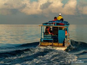 Tarian Pagi Lumba-lumba, Si Pemandu di Laut Banda