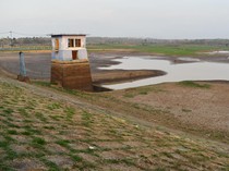 Waduk Dawuhan Mengering, Ribuan Hektare Sawah di Madiun Terancam