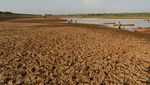 Waduk Dawuhan Mengering, Ribuan Hektare Sawah di Madiun Terancam