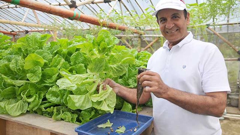 Artis berkebun