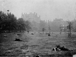 Foto Jadul Jarang Dilihat, Ungkap Cerita Mengejutkan Masa Lalu