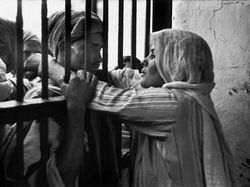 Foto Jadul Jarang Dilihat, Ungkap Cerita Mengejutkan Masa Lalu