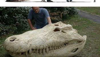 Purussaurus adalah salah satu buaya raksasa terbesar yang diketahui, bahkan mungkin melebihi ukuran Sarcosuchus. Ia mendominasi Amerika Selatan bagian tengah pada periode Miosen, 8 juta tahun yang lalu. Foto: Demilked