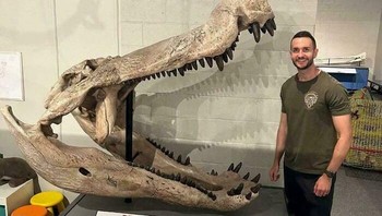 Tengkorak Deinosuchus, Yang Sebagai Genus Merupakan Pelopor Sebagai Buaya Terbesar Yang Diketahui Sepanjang Masa Foto: Demilked