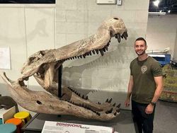 Foto Ukuran Kerangka Hewan Purba Mencengangkan Mata