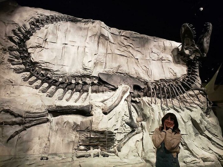 Foto Kerangka Hewan Purba