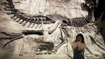 Salah Satu Kerangka T. Rex Terlengkap yang Pernah Ditemukan! Dalam Pose Kematian Klasik, Tulangnya Berwarna Hitam Akibat Paparan Mineral Tertentu Selama Fosilisasi.