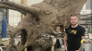 Tengkorak Torosaurus, Ceratopsia Amerika Utara dari Zaman Kapur Akhir Foto: Demilked