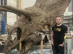 Foto Ukuran Kerangka Hewan Purba Mencengangkan Mata