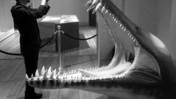 Kepala Liopleurodon yang Diukur dengan Seniman Pembuatnya, Bob Nicholls Foto: Boredpanda