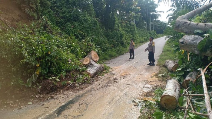 Longsor terjadi di salah satu kabubaten Bengkulu
