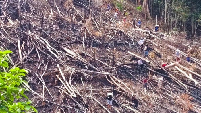 Di balik keindahan alamnya, masyarakat Dayak di Desa Tanjung Nanga, Malinau Selatan Hulu, Kabupaten Malinau, memegang teguh tradisi menugal, atau menanam padi.