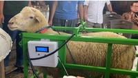 RFID Ear Tag, Reader, dan Cloud Server digunakan untuk memantau kesehatan, vaksinasi, berat badan, hingga reproduksi kambing secara akurat. 