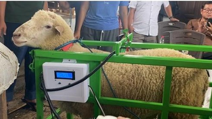 Universitas Pancasila bersama Asosiasi Penggiat Keruminansian Nuswantara (APKN) meluncurkan program Smart Farming untuk peternakan kambing dengan teknologi Radio Frequency Identification (RFID). Sistem ini memudahkan pencatatan tumbuh kembang ternak secara real-time.