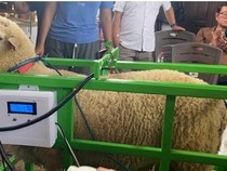 Inovasi Smart Farming Jadi Sarana Edukasi Peternakan