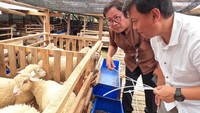 Inovasi ini mendukung swasembada pangan dan target SDGs, sekaligus meningkatkan kepercayaan konsumen pada kualitas produk peternakan. 