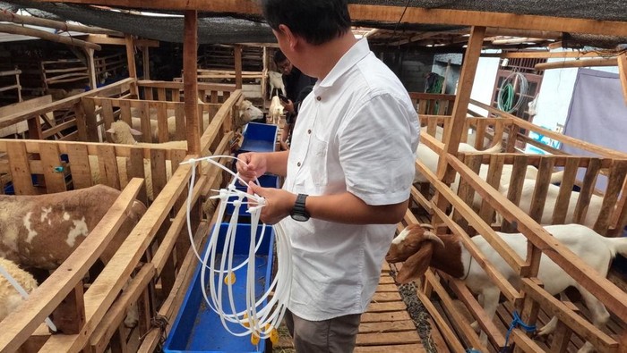 Universitas Pancasila bersama Asosiasi Penggiat Keruminansian Nuswantara (APKN) meluncurkan program Smart Farming untuk peternakan kambing dengan teknologi Radio Frequency Identification (RFID). Sistem ini memudahkan pencatatan tumbuh kembang ternak secara real-time.