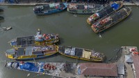 Tak hanya sekadar memperbarui kapal, program ini juga diharapkan mampu menyerap hingga 200.000 tenaga kerja baru. Kehadiran lapangan pekerjaan tersebut diyakini dapat membantu perekonomian masyarakat pesisir sekaligus memperkuat sektor perikanan nasional. ANTARA FOTO/Dedhez Anggara