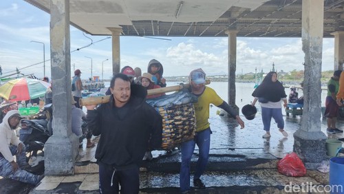 Sejumlah nelayan melaut di Pelabuhan Perikanan Nusantara (PPN) Pengambengan, Jembrana, Bali, Rabu (17/9/2025). (Foto: I Putu Adi Budiastrawan/detikBali)