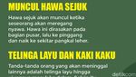 Tanda-tanda Orang Akan Meninggal Menurut Imam Al Ghazali