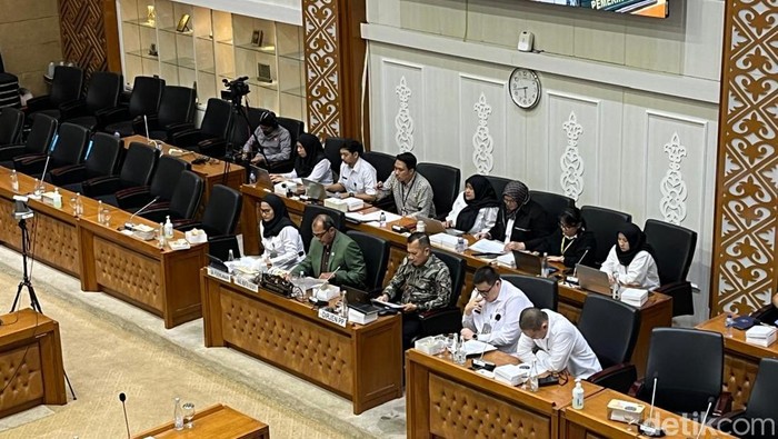Wamenkum Edward Omar Sharif Hiariej saat rapat dengan Baleg DPR (Anggi/detikcom)