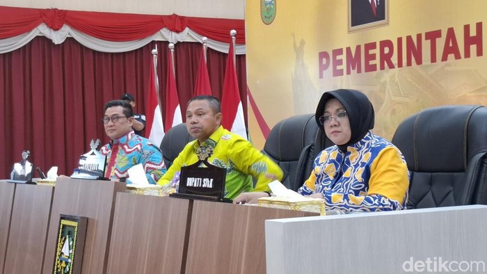 Bupati Siak Afni usai pertemuan dengan pihak perusahaan dan Gubernur Riau (Raja Adil Siregar/detikcom)