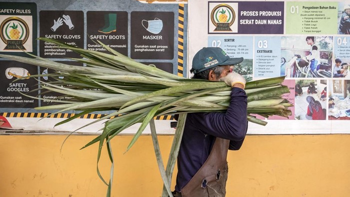 Pekerja menjemur serat daun nanas di rumah produksi Alfiber Serat Daun Nanas Subang di Cijambe, Kabupaten Subang, Jawa Barat, Kamis (18/9/2025). Rumah produksi yang memberdayakan masyarakat sekitar tersebut dalam satu bulan mampu mengolah 3,2 ton limbah daun nanas menjadi 50-60 kilogram serat daun nanas yang kemudian dijadikan benang dan selendang serta berbagai produk eco-fashion seperti topi, tas makrame, dompet dan pernak-pernik lainnya yang telah diekspor ke Singapura, Malaysia, Jepang, Jerman dan Belanda, sekaligus dipasarkan ke berbagai daerah di Indonesia dengan harga mulai dari Rp95 ribu hingga Rp600 ribu. ANTARA FOTO/Abdan Syakura/nz