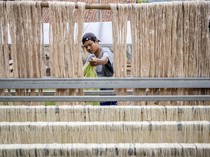 Dari Limbah Jadi Fashion, Serat Daun Nanas Subang Tembus Pasar Dunia